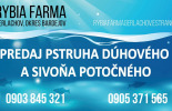 Rybia farma Gerlachov